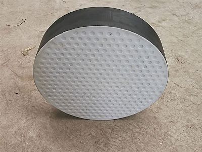 邵阳四氟板式橡胶支座易于更换缓冲隔震